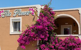 Pension The Flower